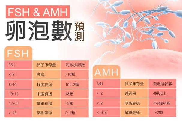 北京试管供卵哪家好【北京试管供卵哪家好，专业医院推荐】
