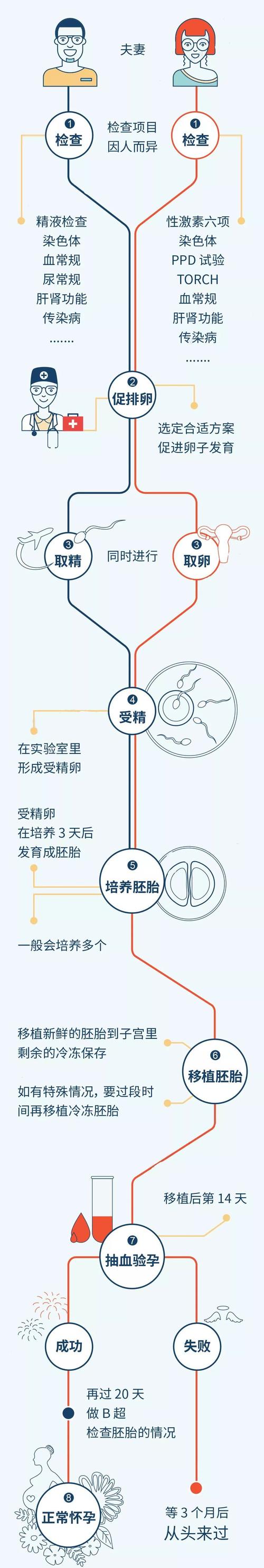 试管供卵试管代怀过程-试管供卵与代怀:全面解析试管供卵试管代怀过程