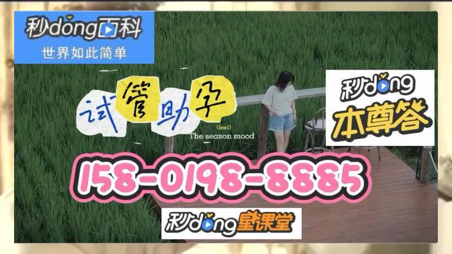 试管供卵试管代怀交流群(试管供卵代怀交流群:心路历程分享)