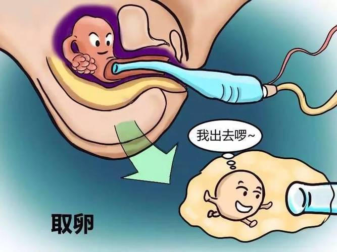 试管借卵试管代怀_试管借卵代怀:新生命的奇迹
