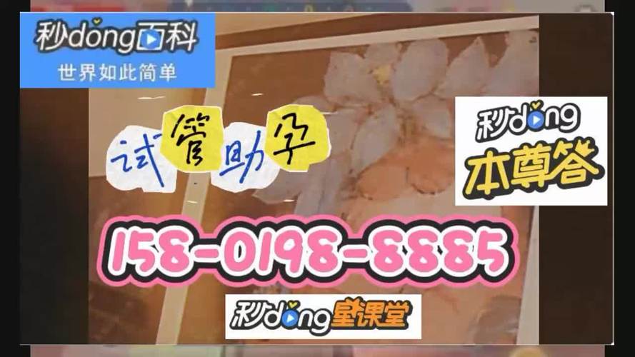 北京试管供卵孩子价格【北京试管供卵孩子价格大揭秘】