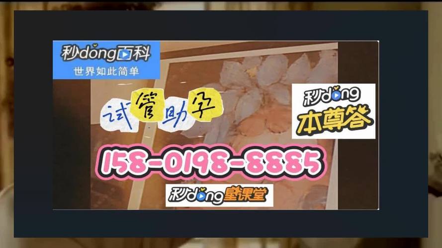 试管供卵试管代怀地址(试管供卵试管代怀地址全攻略)