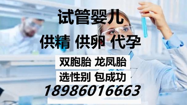 国内供卵机构【国内供卵机构:助力家庭梦想的新选择】